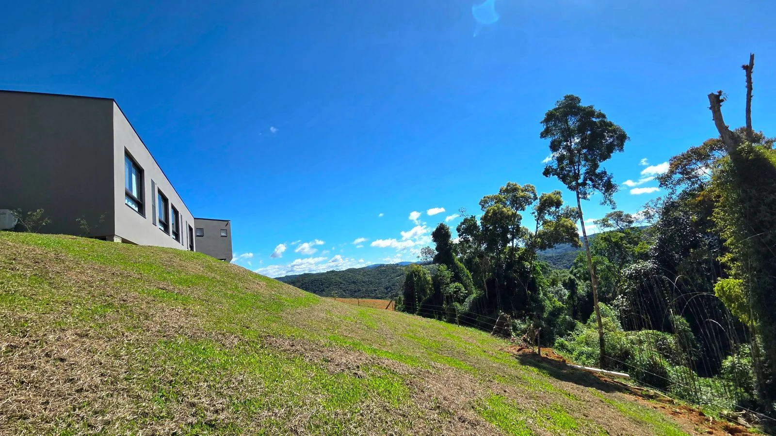 Casa e araucárias na paisagem da fazenda