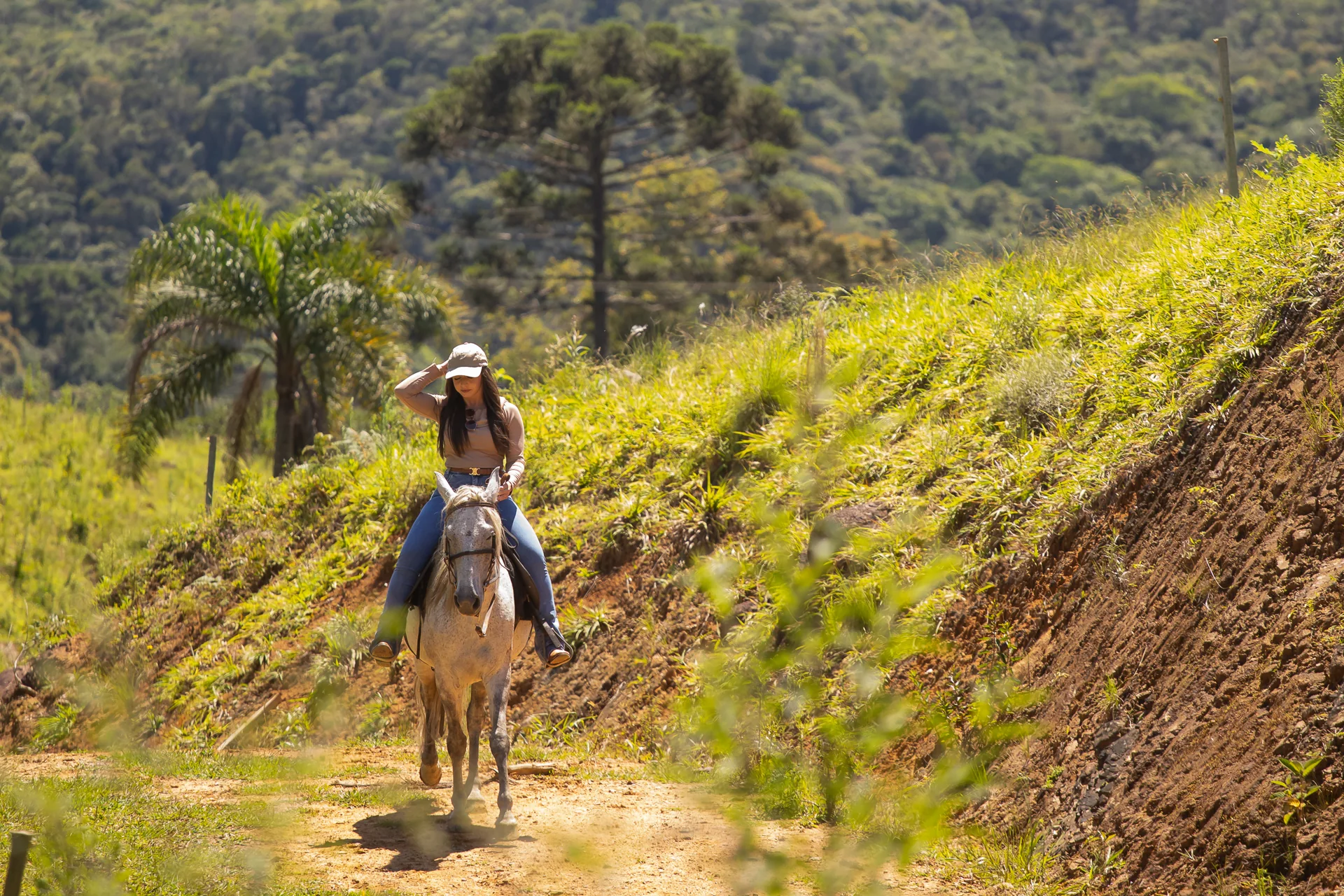 Cavalgada em uma trilha da fazenda